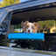Car Window Chin Rest For Dogs