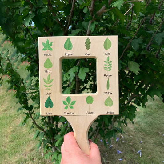 🌿🎉Nature Guide Finder