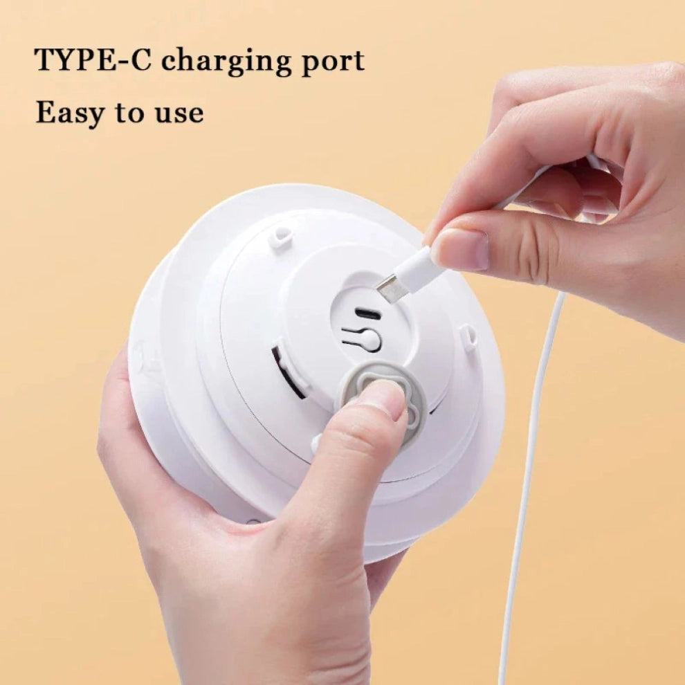 Interactive Hide & Seek Cat Toy With Moving Feather