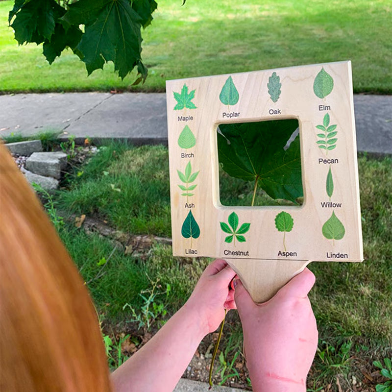 🌿🎉Nature Guide Finder