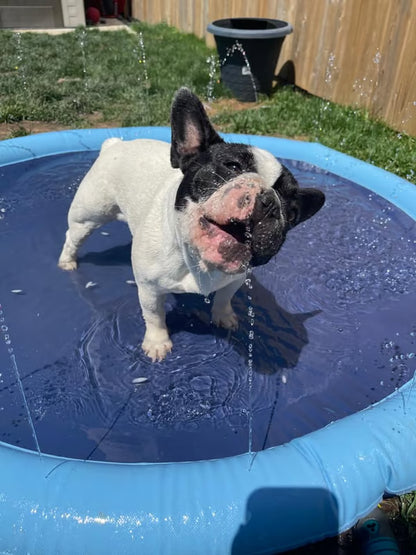 Summer Hot Sale🔥Non-Slip Splash Pad for Kids and Dog