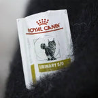 🎄✨Wool Felt Familiars – Quirky Handmade Companions