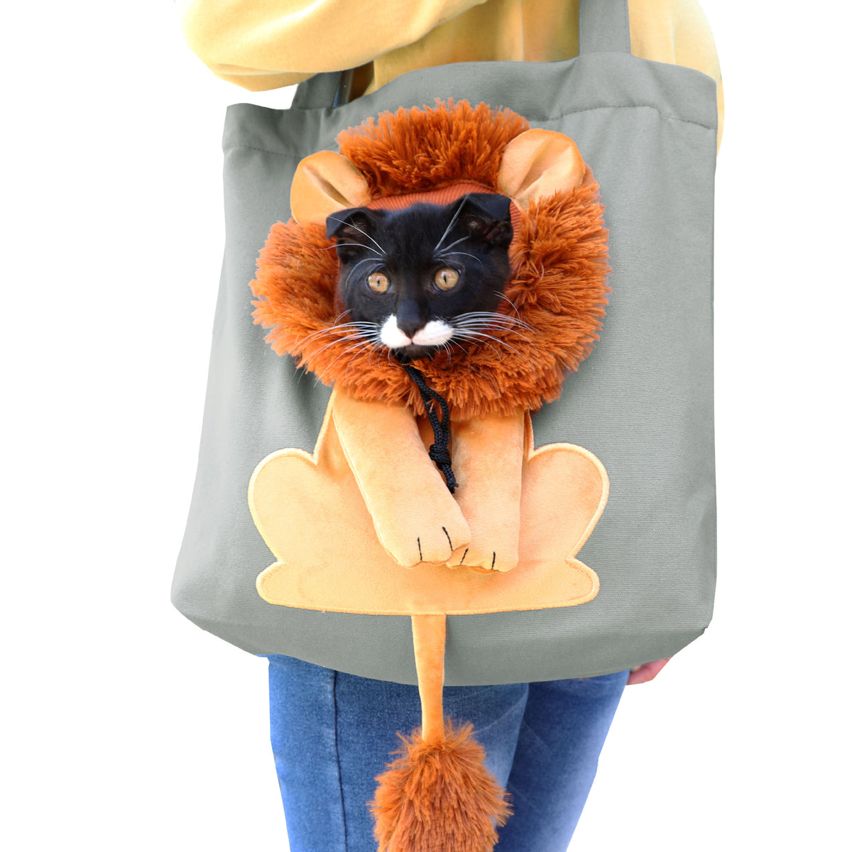 Lion Costume Pet Carrier Tote Bag