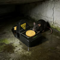 🔥clips Mouse Glue Traps Mouse Rat Deterrent