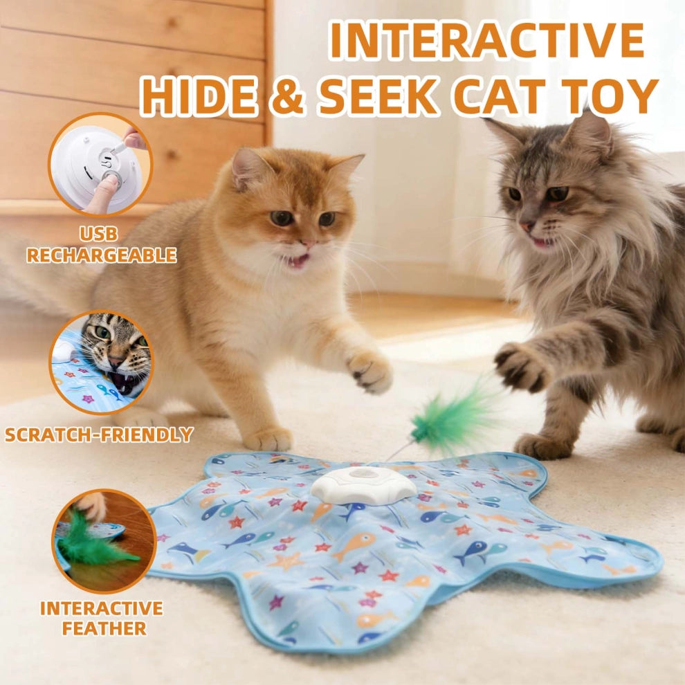 Interactive Hide & Seek Cat Toy With Moving Feather