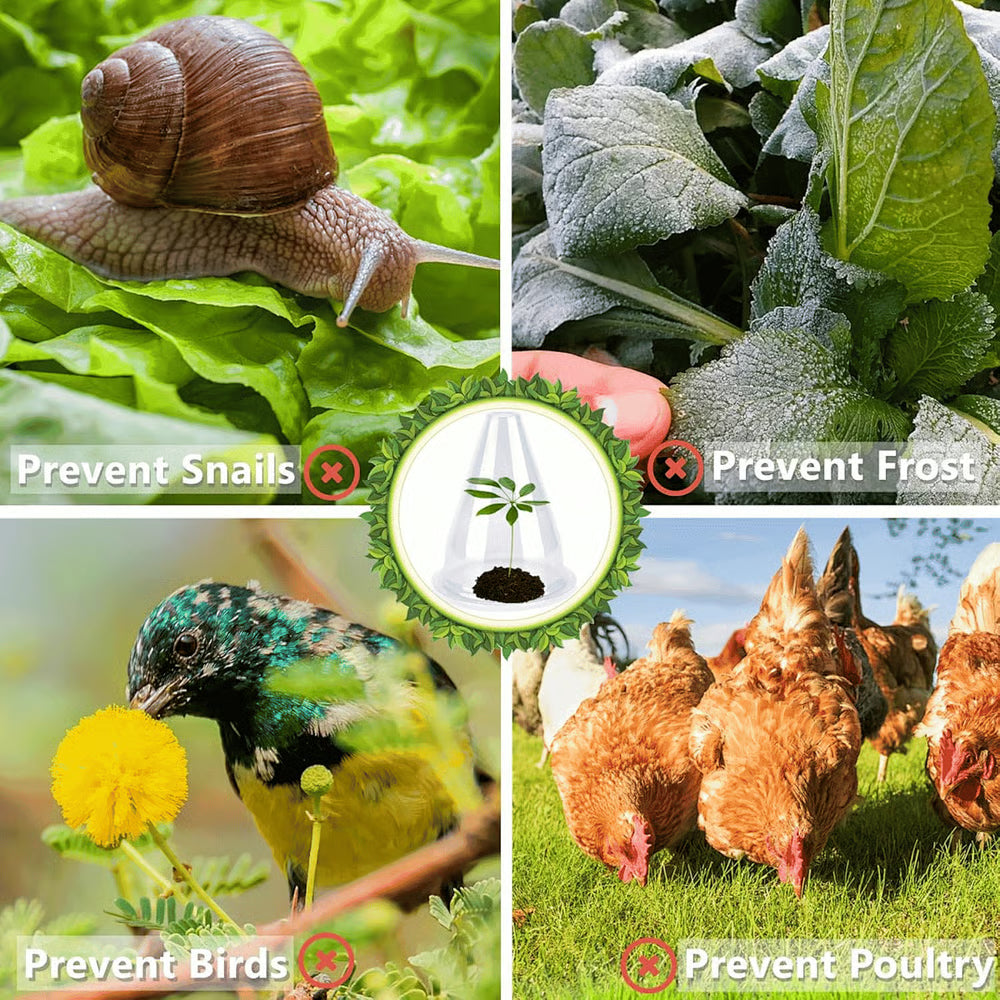 🌿Gardening Greenhouse Plant Covers 🌱Reusable, light-transmitting and breathable💪Prevent🐛insect🐓