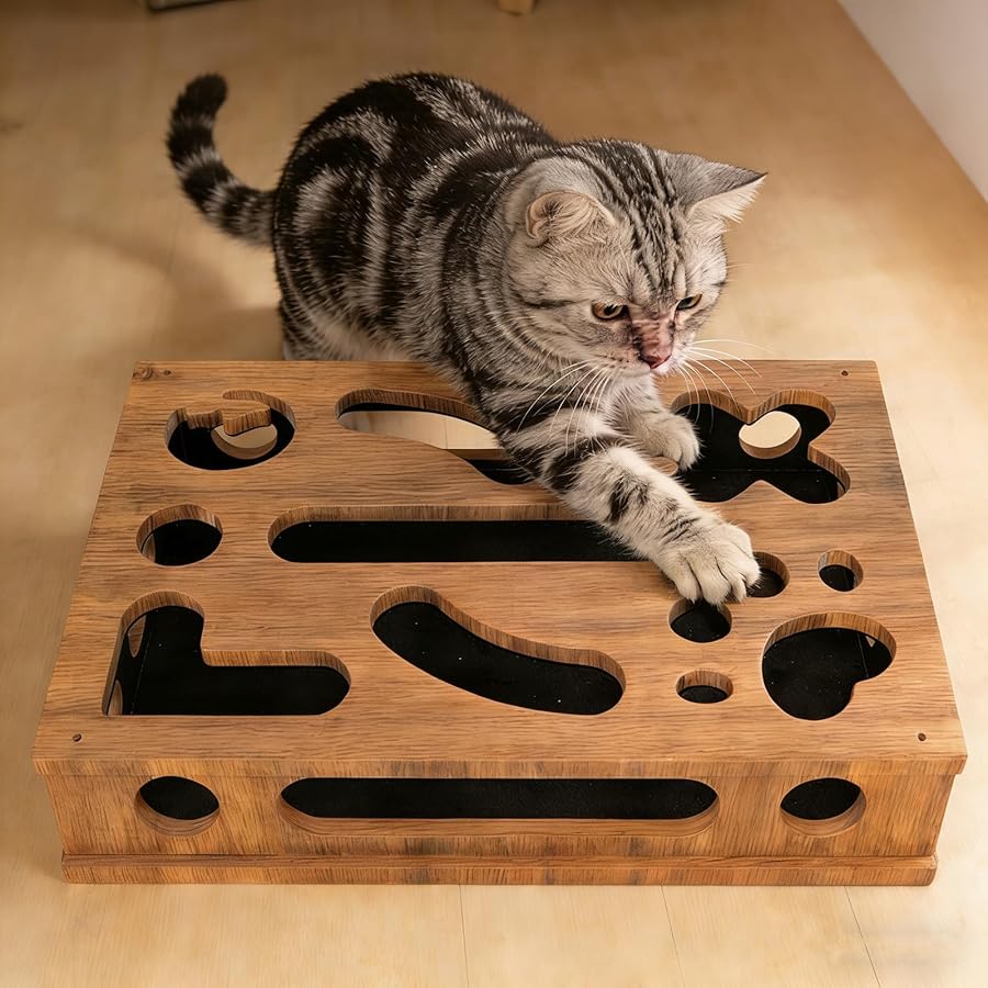 🐱Cat Scratch Puzzle Enrichment Box