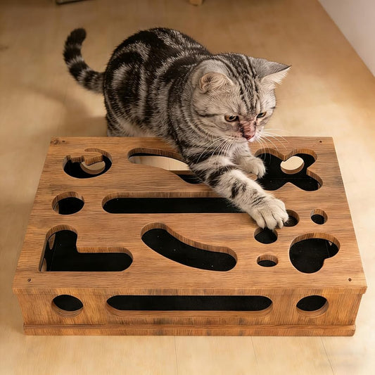 🐱Cat Scratch Puzzle Enrichment Box