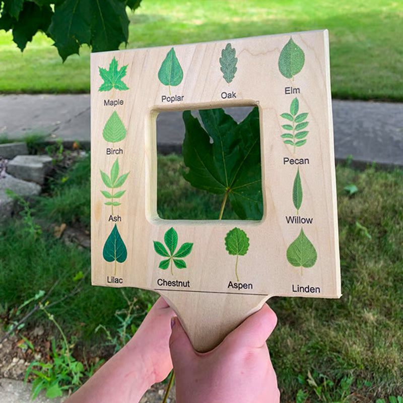 🌿🎉Nature Guide Finder