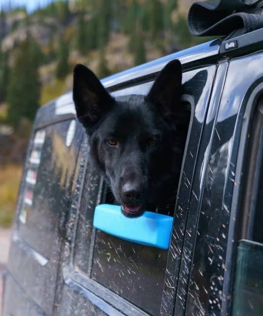 Car Window Chin Rest For Dogs