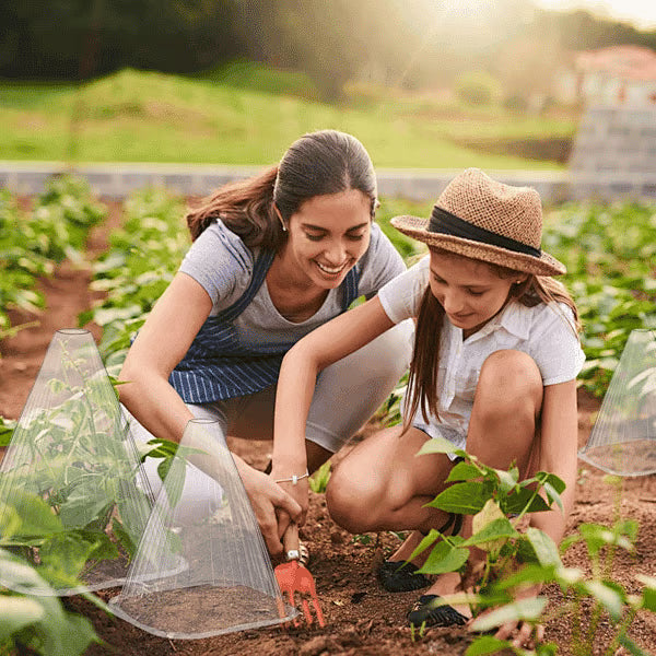 🌿Gardening Greenhouse Plant Covers 🌱Reusable, light-transmitting and breathable💪Prevent🐛insect🐓