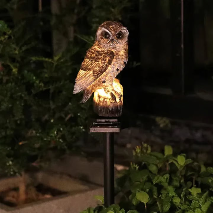 Free Shipping💥 – Waterproof Solar Owl Light
