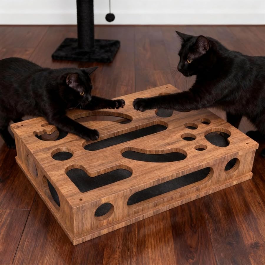 🐱Cat Scratch Puzzle Enrichment Box