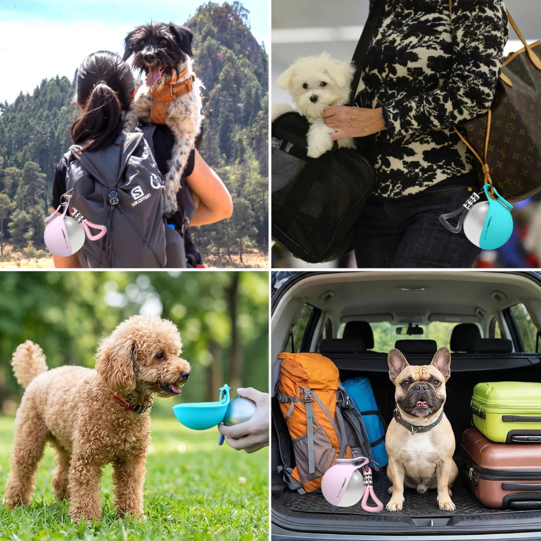 🐕Portable Dog Water Bottle 10oz Stainless Steel Travel Dog Water Dispenser with Bowl