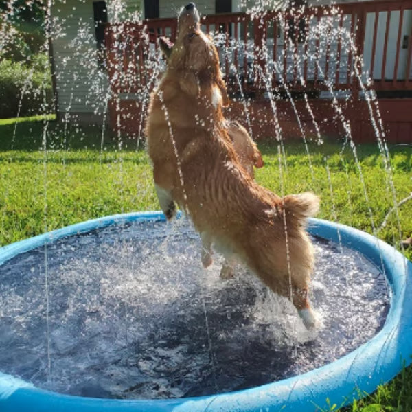 Summer Hot Sale🔥Non-Slip Splash Pad for Kids and Dog