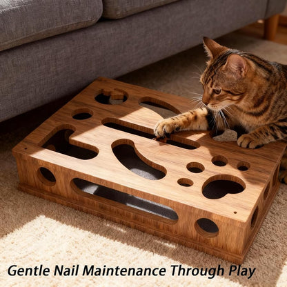 🐱Cat Scratch Puzzle Enrichment Box