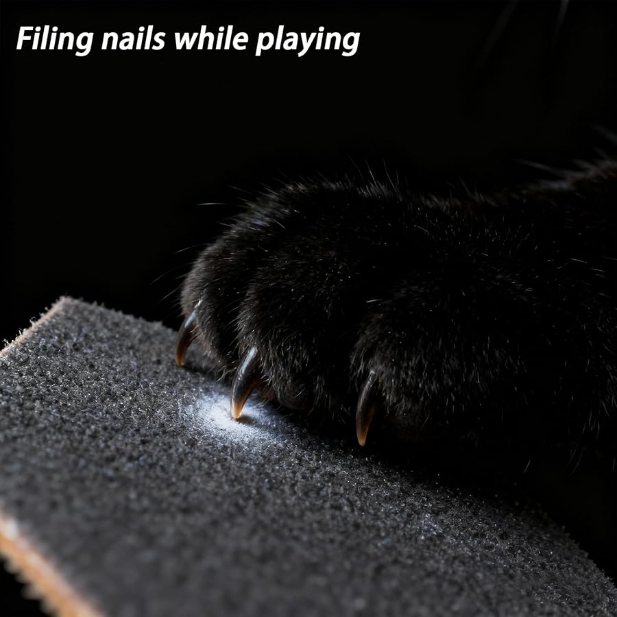 🐱Cat Scratch Puzzle Enrichment Box