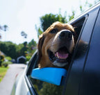 Car Window Chin Rest For Dogs
