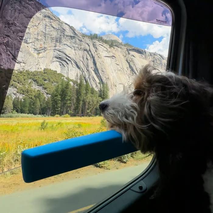 Car Window Chin Rest For Dogs