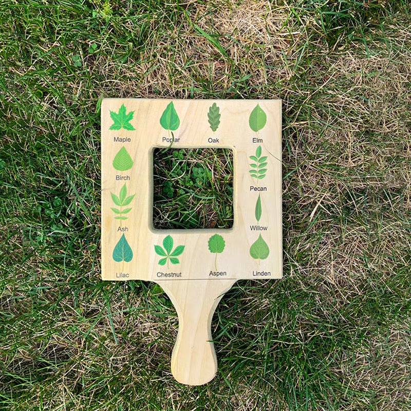 🌿🎉Nature Guide Finder