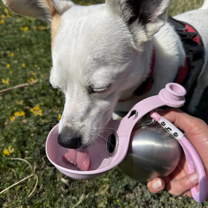 🐕Portable Dog Water Bottle 10oz Stainless Steel Travel Dog Water Dispenser with Bowl