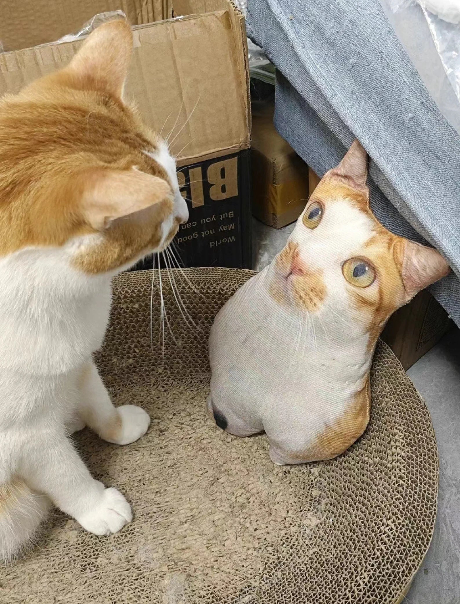 Ugly Cat Pillow Main image